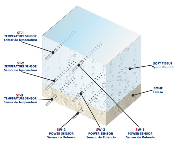 COMPUTER CONTROLLED BIOMEDICAL ULTRASOUND THERMAL EFFECTS TEACHING UNIT - BIUTEC