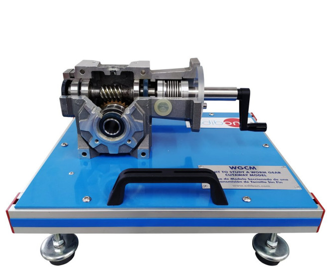 UNIT TO STUDY A WORM GEAR CUTAWAY MODEL - WGCM