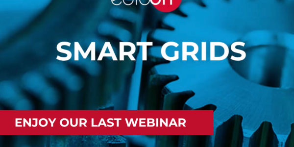 Enjoy our last webinar about "Smart Grids".